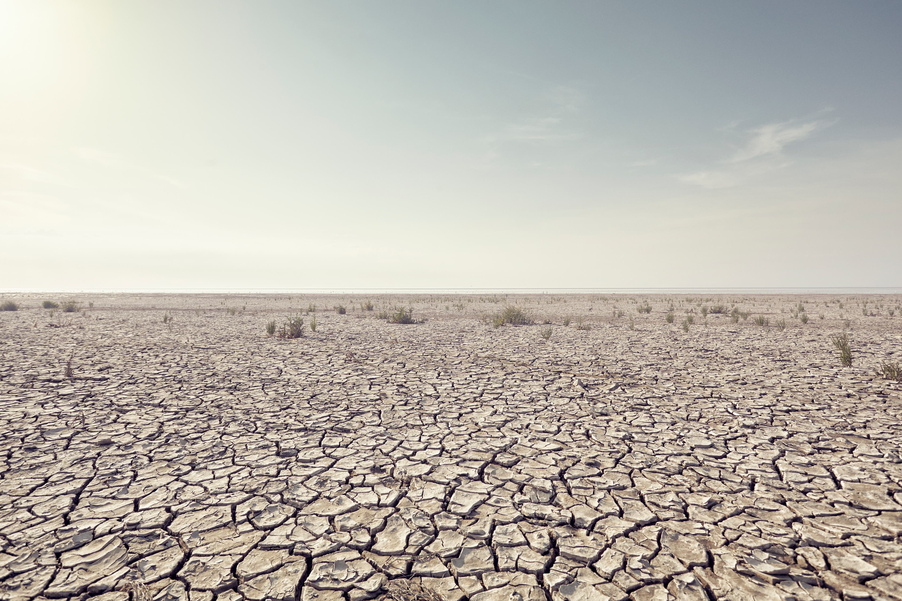 Open plain with cracked mud and clear sky