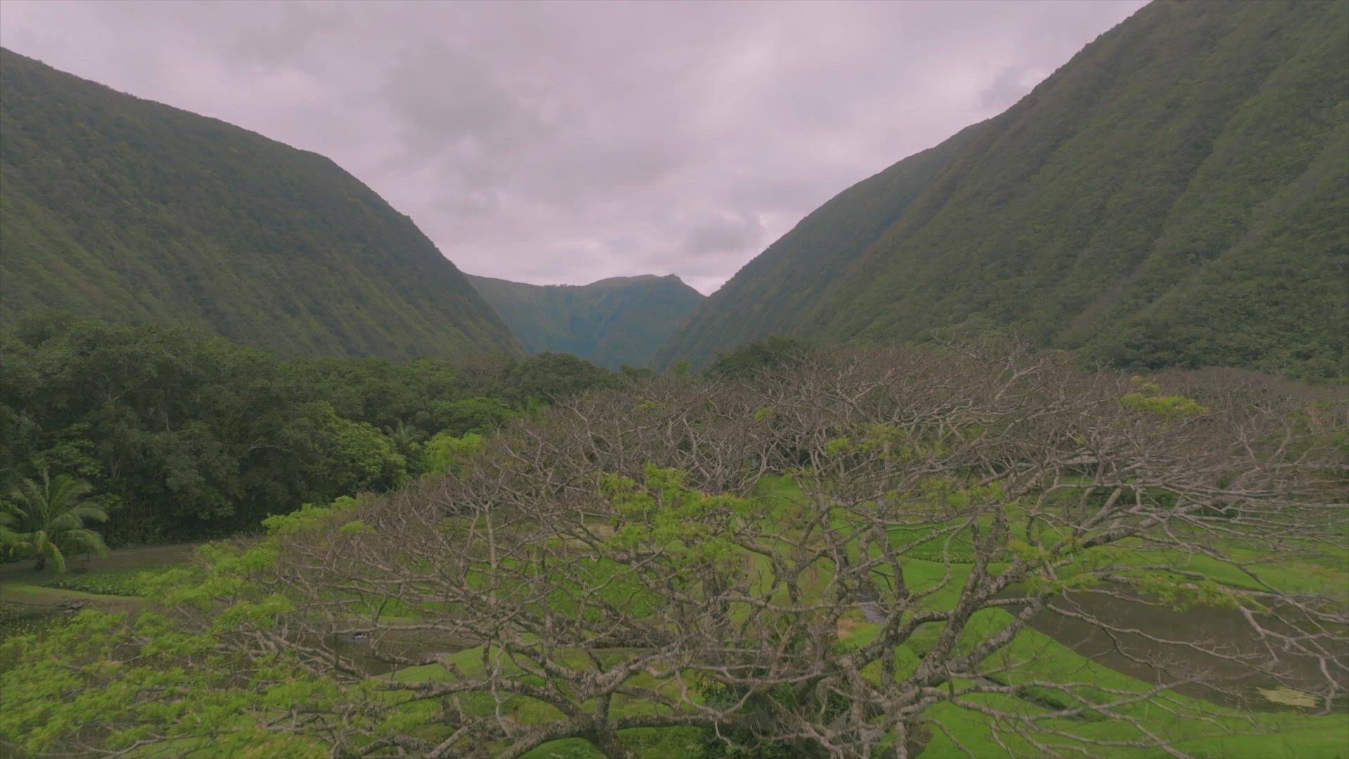 The Green Way Outdoors