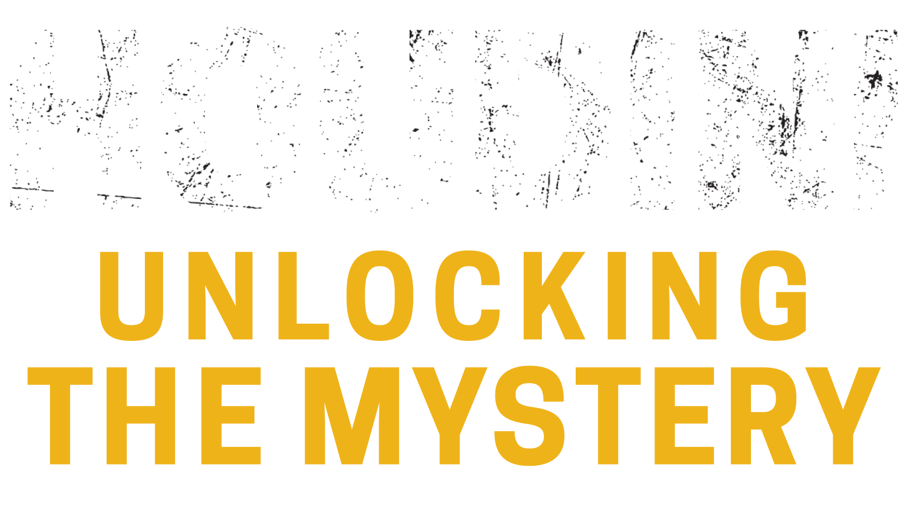 Houdini: Unlocking the Mystery