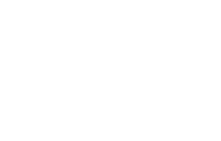 Harlem Hellfighters